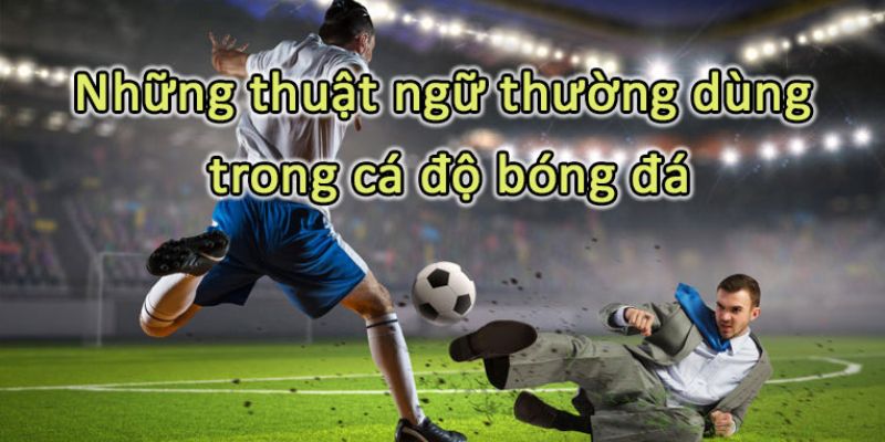 Hiểu cơ bản về các thuật ngữ trong cá độ bóng đá chung