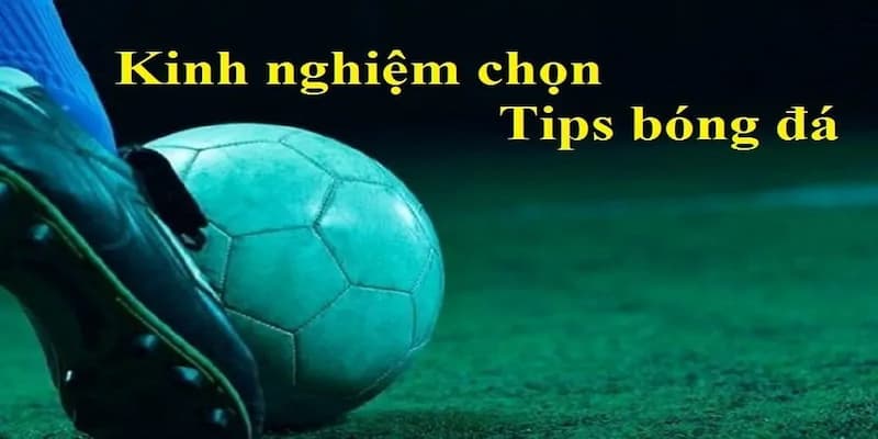 Các chiến lược chọn tips cá cược bóng đá hiệu quả