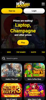 Win Diggers - Perks in 2025