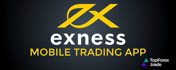 Excard for Exness A Comprehensive Guide to Understanding Its Features and Benefits