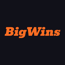 BigWins Gambling Enterprise: Player Scores & Our Judgment